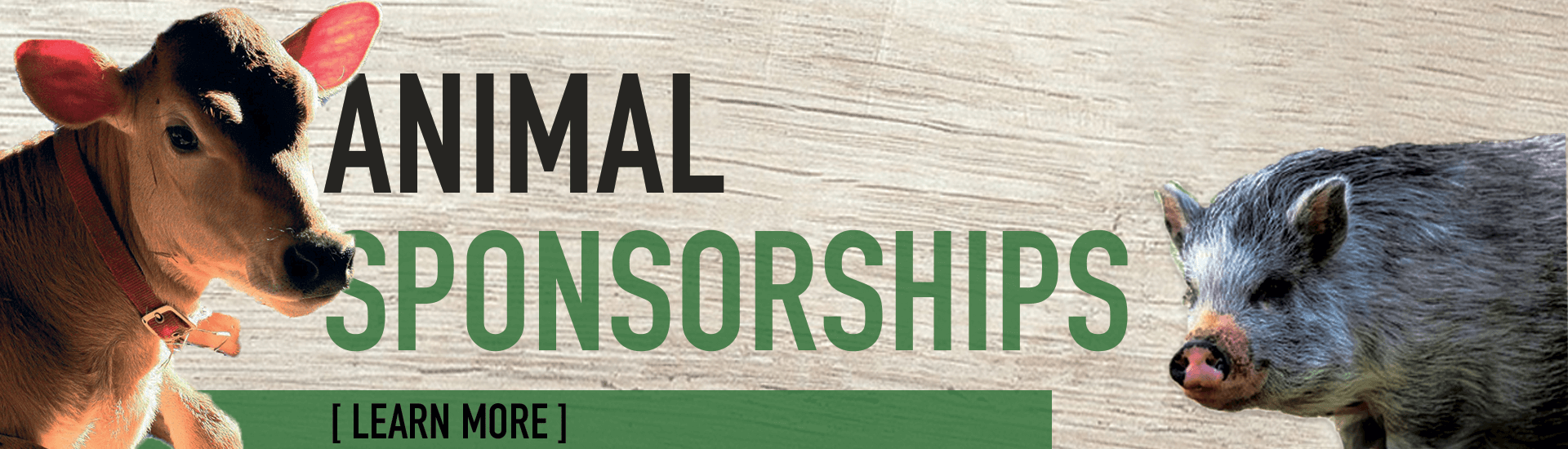 Hillside animal sponsorship opportunities