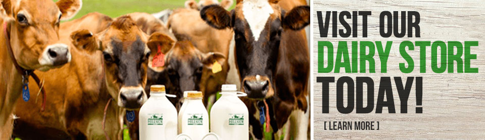 Visit our dairy store today!