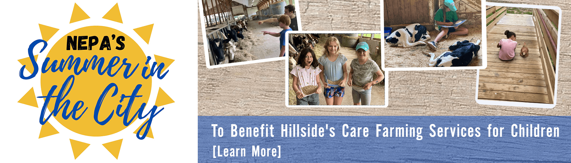 NEPA Summer in the City to benefit Hillside's Care Farming Services for Children